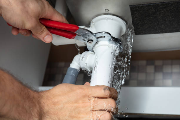 Best Water damage restoration mold remediation  in Stonewall, MS