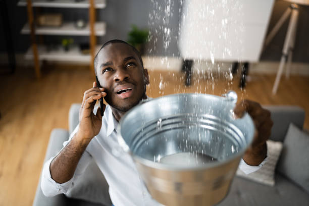 Best Mold removal after water damage  in Stonewall, MS