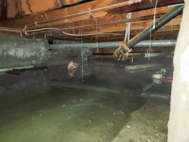  Stonewall, MS Water damage restoration Pros