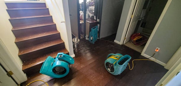 Best Flood restoration services  in Stonewall, MS