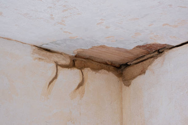 Local water damage restoration in Stonewall, MS