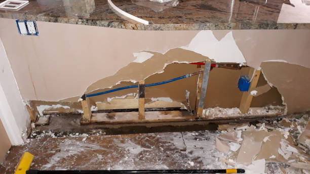 Best Water damage mitigation services  in Stonewall, MS