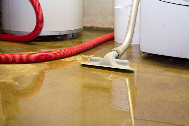 Water damage restoration insurance claims in Stonewall, MS