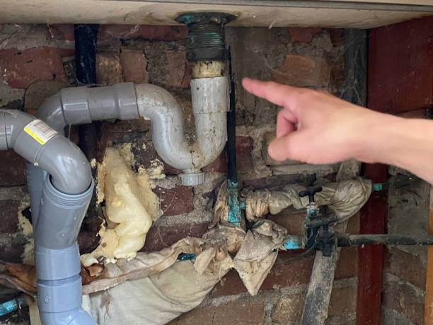Best Flood damage cleanup  in Stonewall, MS