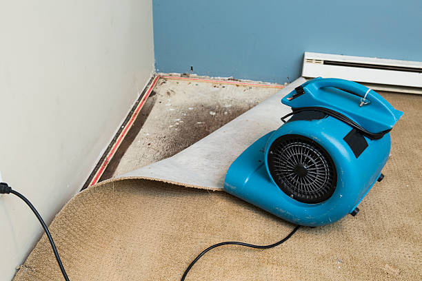Best Water damage restoration company  in Stonewall, MS